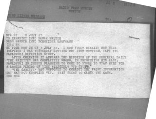 031320f3 e224 44d5 82ae 1002f1ed84f3 t 001