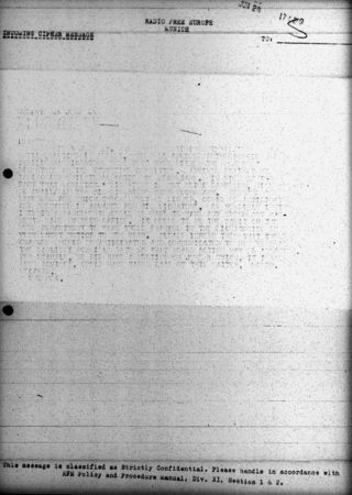 A5446e0b 1154 4763 8615 7d432495d79c t 001