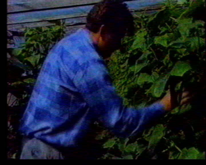 A7a72d8c 8a20 49da 82a0 138773474087 t 001