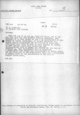 B105d238 f45f 4f54 9af7 e8fd4a66d2cf t 001