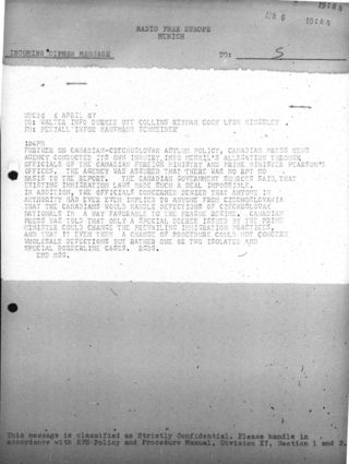 Cd885cce 7999 43b2 83b7 7f305b65a1f3 t 001