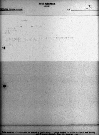 Dd19d9cf f1ae 4982 861e 1ea1b0b776aa t 001